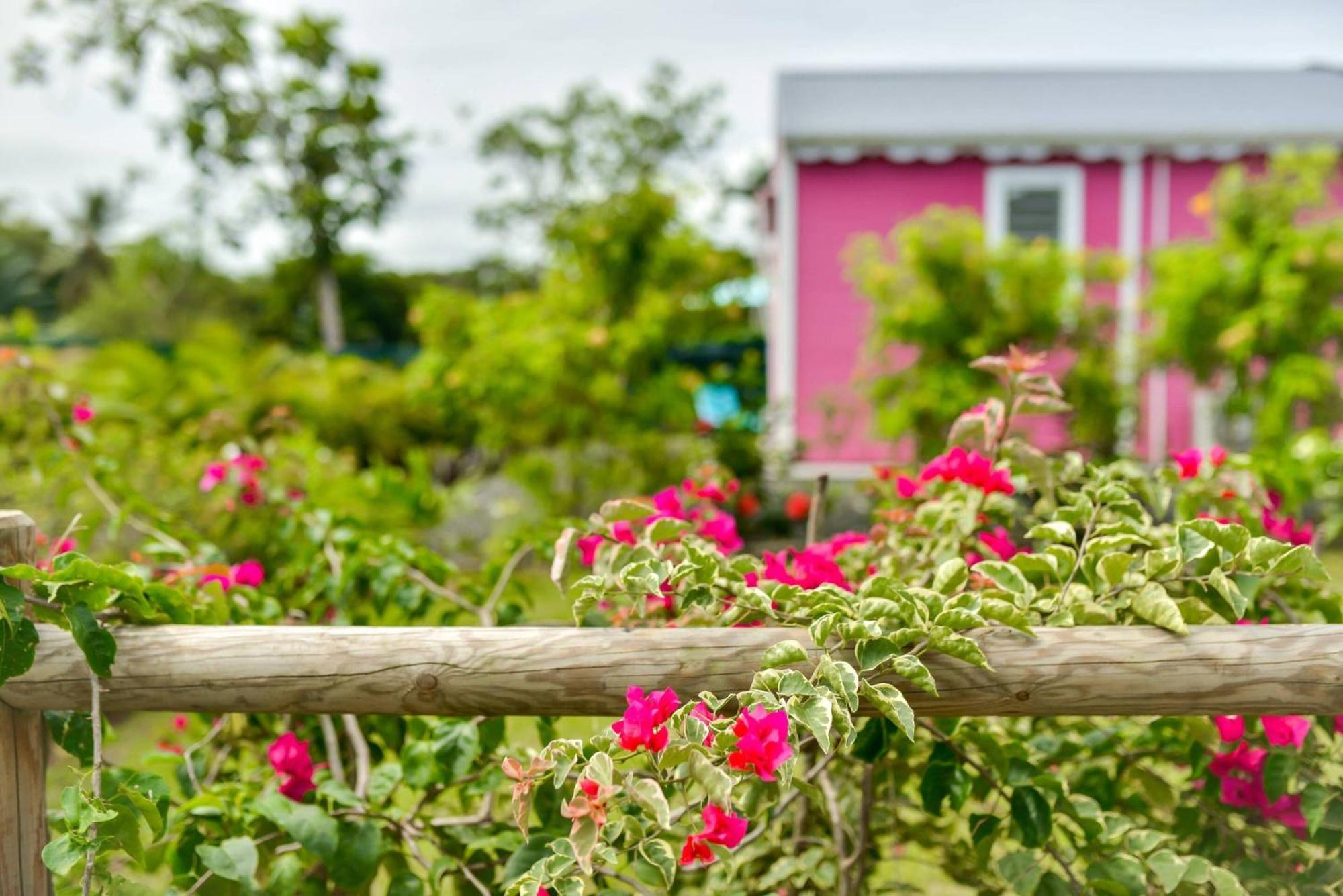 Les Jardins De Chantilly -Bungalows 4 Etoiles Avec Jardins Et Piscines Privees 拜马欧 客房 照片